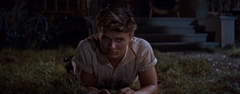 Movie still from “East of Eden” (1955), directed by Elia Kazan – A man laying on the ground in the grass; Medium shot, High angle