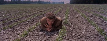 Movie still from “East of Eden” (1955), directed by Elia Kazan – A man laying in the middle of an open field; Medium shot, High angle