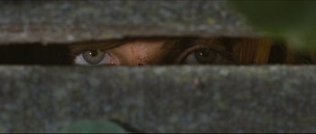 Movie still from “Eden Lake” (2008), directed by James Watkins – A person's eyes looking through a fence; Extreme Close Up shot, Overhead angle