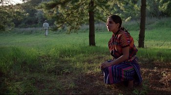 Movie still from “El Norte” (1983), directed by Gregory Nava – A woman kneeling down in the grass next to a tree; Wide shot, Low angle
