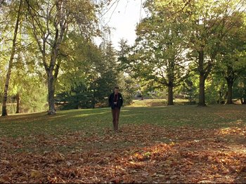 Movie still from “Elephant” (2003), directed by Gus Van Sant – A man standing in a field with leaves on the ground; Extreme Wide shot, High angle