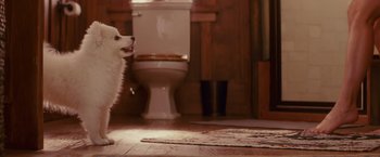 Movie still from “The Proposal” (2009), directed by Anne Fletcher – A dog standing in front of a toilet in a bathroom; Wide shot, Over the shoulder angle