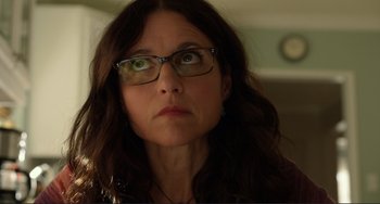Movie still from “Enough Said” (2013), directed by Nicole Holofcener – A person wearing glasses; Close Up shot, Low angle