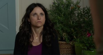 Movie still from “Enough Said” (2013), directed by Nicole Holofcener – A person sitting in front of a potted plant; Close Up shot, Over the shoulder angle