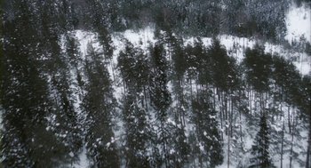 Movie still from “Essential Killing” (2010), directed by Jerzy Skolimowski – A view of a snowy forest from a plane window; Extreme Wide shot, Overhead angle