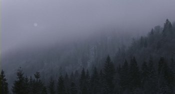 Movie still from “Essential Killing” (2010), directed by Jerzy Skolimowski – A view of a forest with fog in the background; Extreme Wide shot, Low angle