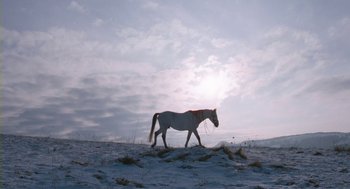 Movie still from “Essential Killing” (2010), directed by Jerzy Skolimowski – A white horse walking across a snow covered field; Extreme Wide shot, Low angle