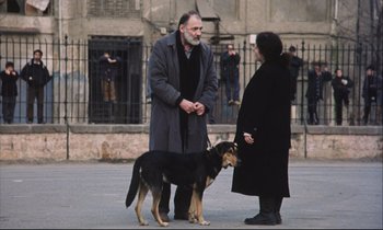Movie still from “Eternity and a Day” (1998), directed by Theodoros Angelopoulos – A man and a woman standing next to a dog; Wide shot, Over the shoulder angle