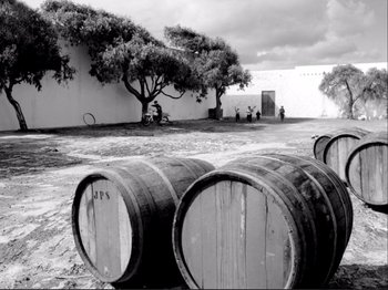 Movie still from “Even Dwarfs Started Small” (1970), directed by Werner Herzog – Black and white photograph of barrels of wine in front of a building; Extreme Wide shot, Low angle