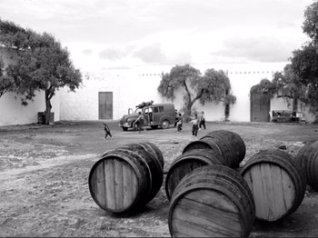 Movie still from “Even Dwarfs Started Small” (1970), directed by Werner Herzog – A black and white photo of barrels of wine; Extreme Wide shot, Low angle