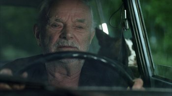 Movie still from “Everything Is Illuminated” (2005), directed by Liev Schreiber – An older man driving a car with a cat sitting in the passenger seat; Close Up shot, Over the shoulder angle