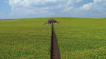 Movie still from “Everything Is Illuminated” (2005), directed by Liev Schreiber – An open field with yellow flowers in the middle of the field; Extreme Wide shot, High angle