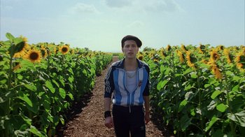 Movie still from “Everything Is Illuminated” (2005), directed by Liev Schreiber – A person standing in a field of sunflowers; Medium shot, Low angle