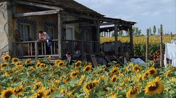 Movie still from “Everything Is Illuminated” (2005), directed by Liev Schreiber – A person standing on the porch of a house near a field of sunflowers; Extreme Wide shot, Low angle