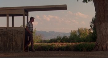 Movie still from “Fandango” (1985), directed by Kevin Reynolds – A man standing next to a bus stop on the side of a dirt road; Wide shot, Low angle