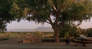 Movie still from “Fandango” (1985), directed by Kevin Reynolds – Two people standing under a large tree on the side of a road; Extreme Wide shot, Low angle