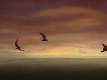 Movie still from “Fantasia” (1940), directed by Ford Beebe Jr. – A couple of birds are flying in the sky; Extreme Wide shot, Low angle