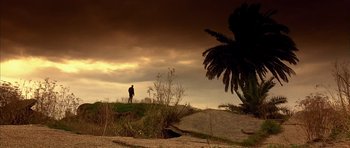 Movie still from “The Rock” (1996), directed by Michael Bay – A person standing on a hill near a palm tree; Extreme Wide shot, Low angle