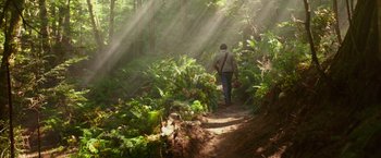 Movie still from “The Shack” (2017), directed by Stuart Hazeldine – A man walking down a trail in the woods; Wide shot, High angle