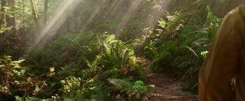 Movie still from “The Shack” (2017), directed by Stuart Hazeldine – The sun is shining through the trees in the woods; Extreme Wide shot, High angle