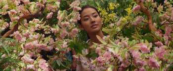 Movie still from “The Shack” (2017), directed by Stuart Hazeldine – A beautiful young woman standing in a tree covered in pink flowers; Medium shot, Low angle