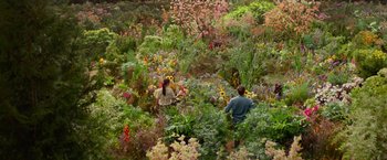 Movie still from “The Shack” (2017), directed by Stuart Hazeldine – A man and a woman standing in a field of flowers; Extreme Wide shot, High angle