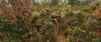 Movie still from “The Shack” (2017), directed by Stuart Hazeldine – A woman walking through a field of flowers carrying a box; Extreme Wide shot, High angle
