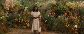 Movie still from “The Shack” (2017), directed by Stuart Hazeldine – A woman standing in front of a field of flowers; Wide shot, High angle