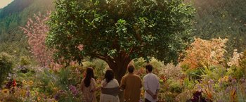 Movie still from “The Shack” (2017), directed by Stuart Hazeldine – A group of people standing under a large tree; Wide shot, High angle