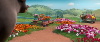 Movie still from “Ferdinand” (2017), directed by Carlos Saldanha – A lot of flowers on the ground; Extreme Wide shot, High angle