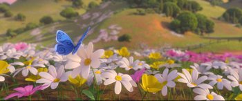 Movie still from “Ferdinand” (2017), directed by Carlos Saldanha – A butterfly that is sitting in the middle of a field of flowers; Extreme Wide shot, Low angle