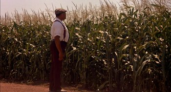 Movie still from “Field of Dreams” (1989), directed by Phil Alden Robinson – A man standing in front of a field of corn; Wide shot, Low angle