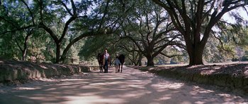 Movie still from “Firestarter” (1984), directed by Mark L. Lester – A man leading two horses down a dirt road; Extreme Wide shot, High angle