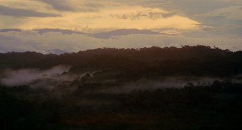 Movie still from “Fitzcarraldo” (1982), directed by Werner Herzog – The sun is setting over a lush green forest; Extreme Wide shot, Low angle