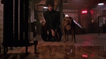 Movie still from “Flashdance” (1983), directed by Adrian Lyne – A woman kneeling down next to a brown dog; Wide shot, Low angle