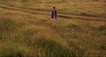 Movie still from “Fly Away Home” (1996), directed by Carroll Ballard – A young girl walking through a field of grass; Extreme Wide shot, High angle