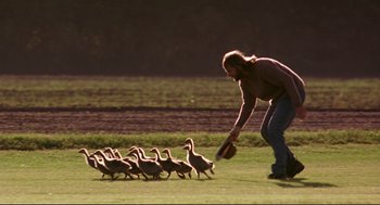 Movie still from “Fly Away Home” (1996), directed by Carroll Ballard – A man is feeding a flock of ducks; Wide shot, Low angle