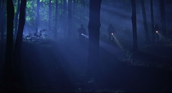 Movie still from “Fly Away Home” (1996), directed by Carroll Ballard – Two people in the woods with lights shining on them; Extreme Wide shot, Low angle