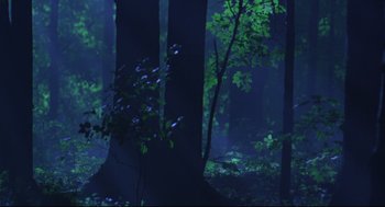 Movie still from “Fly Away Home” (1996), directed by Carroll Ballard – A dark forest with trees in the middle of the night; Extreme Wide shot, Low angle