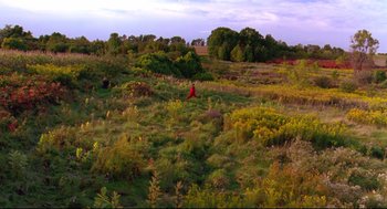 Movie still from “Fly Away Home” (1996), directed by Carroll Ballard – A person is standing in the middle of a grassy field; Extreme Wide shot, High angle