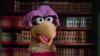 Movie still from “Follow That Bird” (1985), directed by Ken Kwapis – The head of a stuffed animal; Close Up shot, High angle