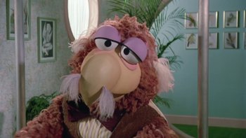 Movie still from “Follow That Bird” (1985), directed by Ken Kwapis – The head of a stuffed bird; Close Up shot, High angle