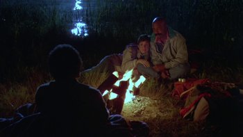 Movie still from “Follow That Bird” (1985), directed by Ken Kwapis – A group of people sitting around a fire pit at night; Medium shot, Over the shoulder angle