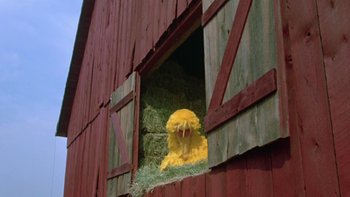 Movie still from “Follow That Bird” (1985), directed by Ken Kwapis – A yellow bird sitting inside of a red barn; Medium shot, Low angle