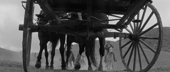 Movie still from “Forty Guns” (1957), directed by Samuel Fuller – A black - and - white photo of horses and riders; Wide shot, Low angle