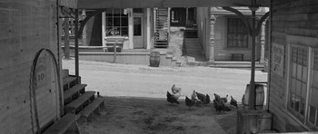 Movie still from “Forty Guns” (1957), directed by Samuel Fuller – A group of chickens standing on top of a dirt field; Wide shot, High angle