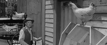 Movie still from “Forty Guns” (1957), directed by Samuel Fuller – An old photo of a man and a chicken; Medium shot, Low angle