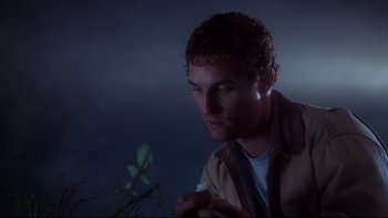 Movie still from “Frailty” (2001), directed by Bill Paxton – A man is looking at a plant in the dark; Close Up shot, Low angle