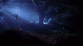Movie still from “Frailty” (2001), directed by Bill Paxton – The sun is shining through a tree in the woods; Wide shot, Low angle