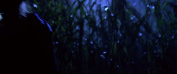 Movie still from “Freddy vs. Jason” (2003), directed by Ronny Yu – A blurry image of a field of grass; Medium shot, Low angle